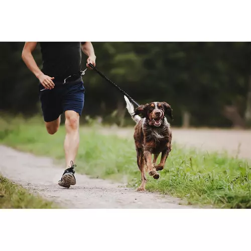 Freihand-Leine / Joggingleine, schwarz Freihand-Leine / Joggingleine, schwarz