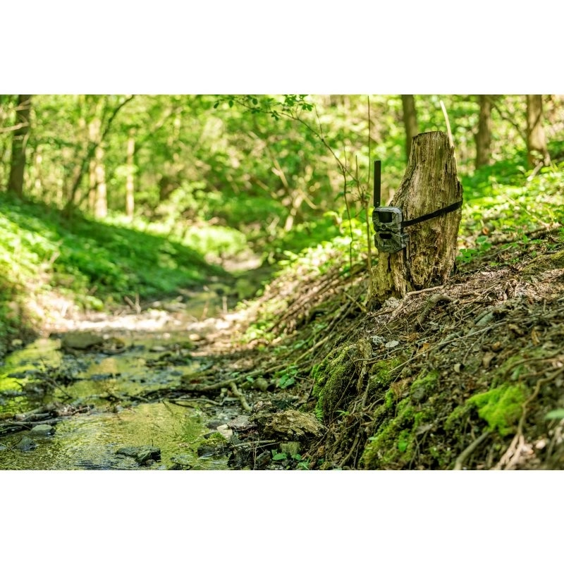 HIKMICRO Wildkamera T16 4er-Pack
