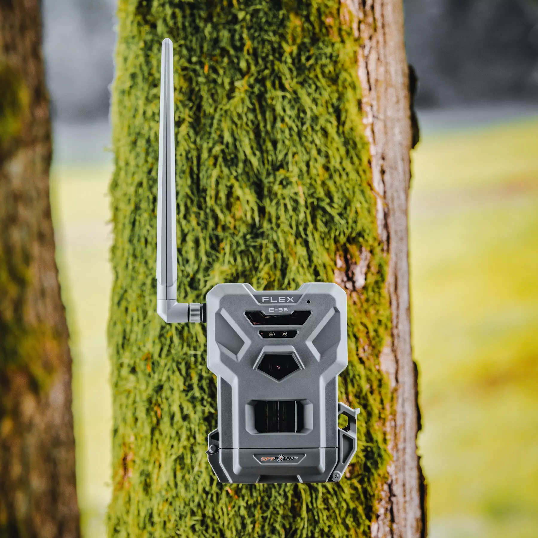 SPYPOINT FLEX E-36 SPYPOINT FLEX E-36