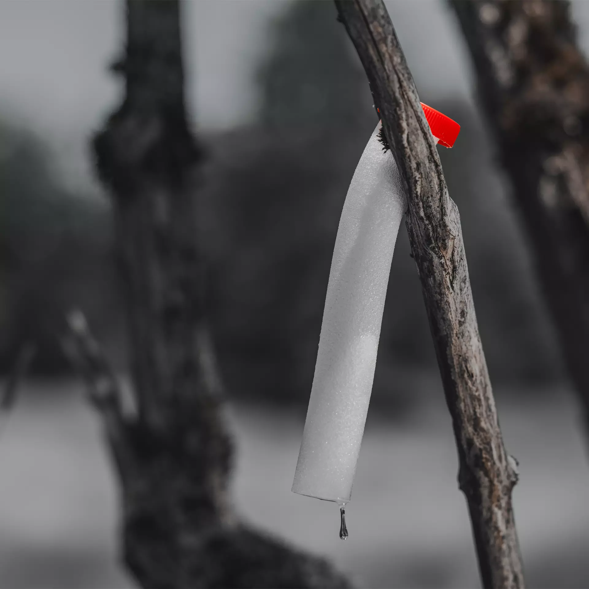 BLACK FIRE - Predator 3x80 g