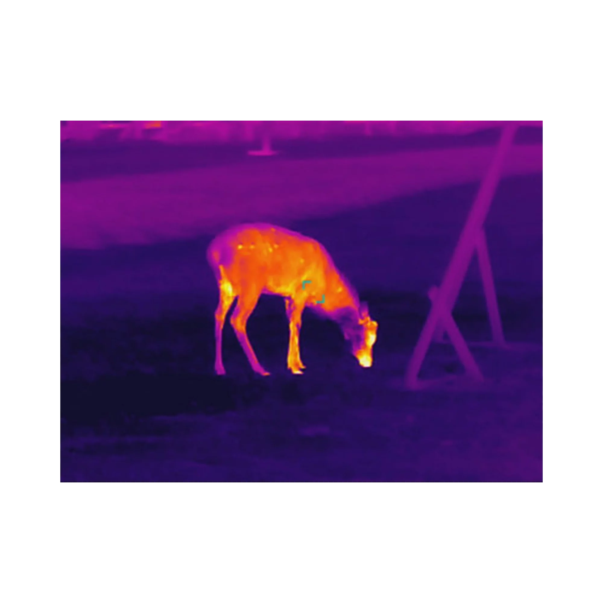 GUIDE Wärmebild Handgerät TD631 LRF GUIDE Wärmebild Handgerät TD631 LRF