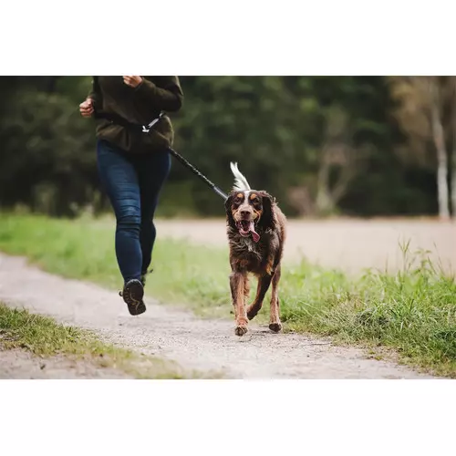 Freihand-Leine / Joggingleine, schwarz Freihand-Leine / Joggingleine, schwarz