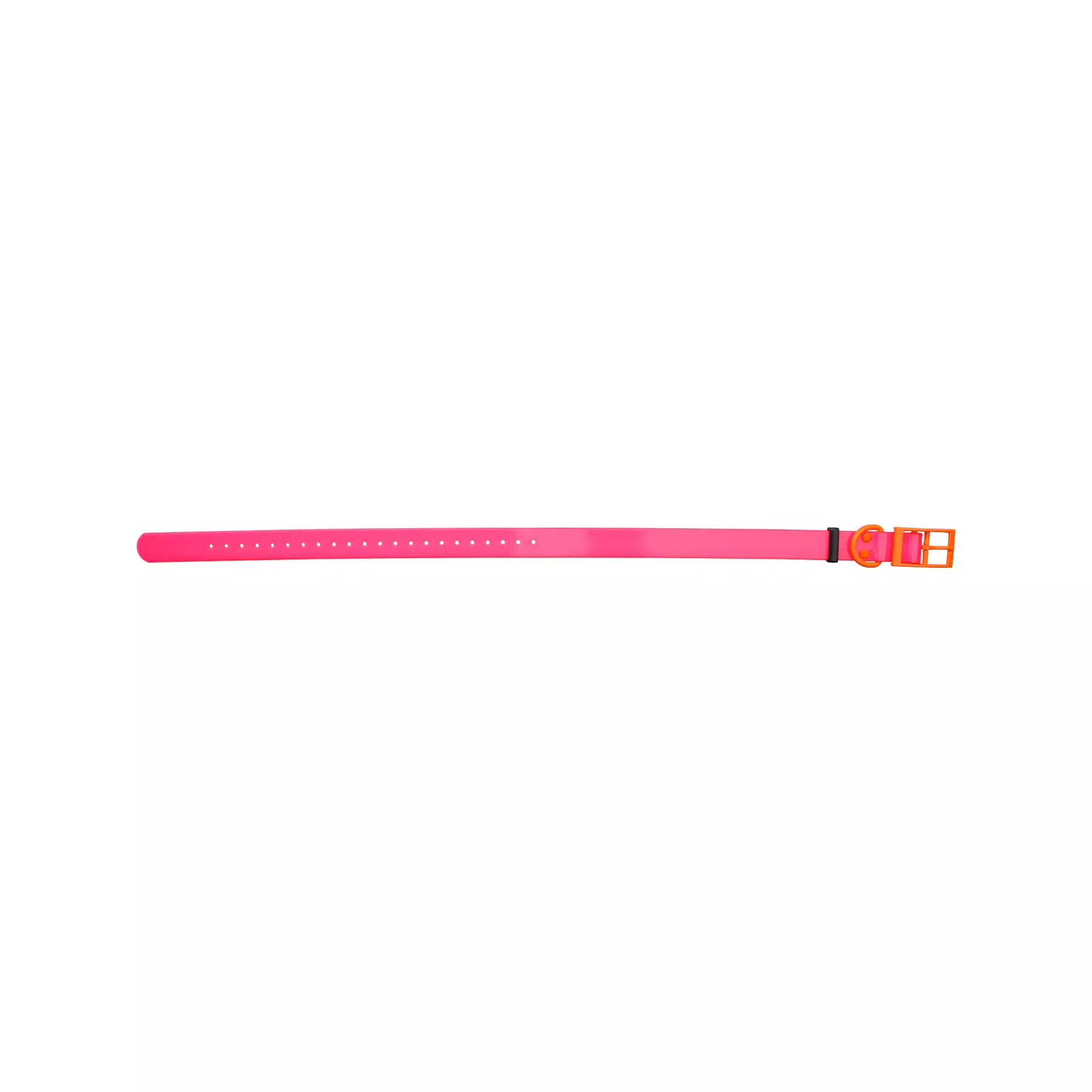 HP&G Hundehalsband 25mm Pink