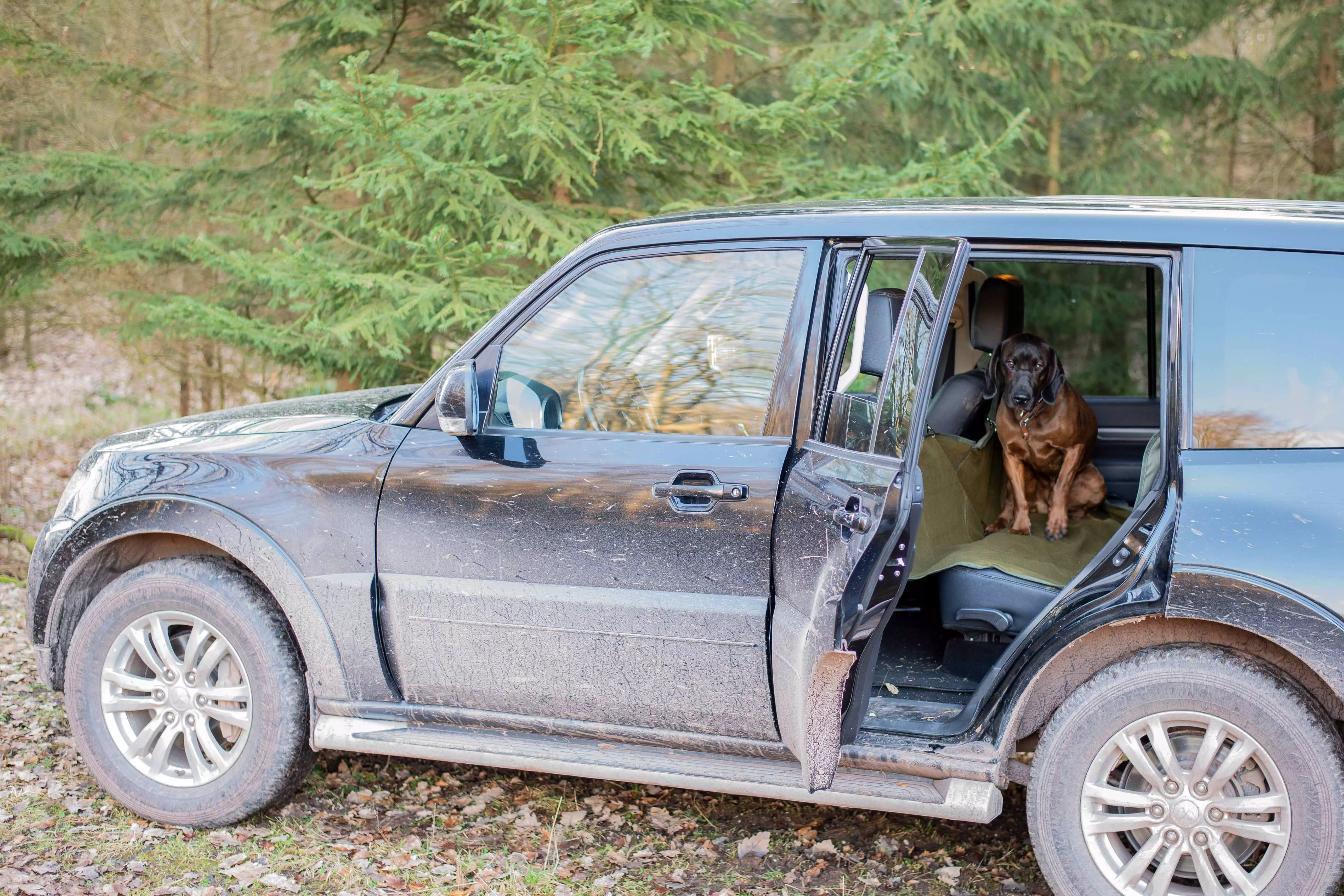 Autositzschonbezug für Rückbank Autositzschonbezug für Rückbank