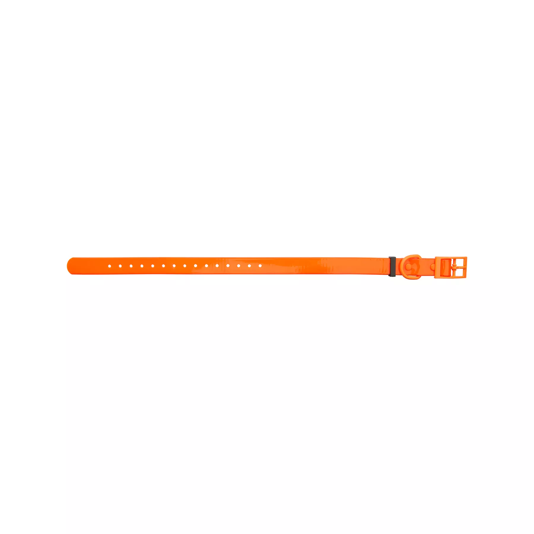 HP&G Hundehalsband 19mm Orange