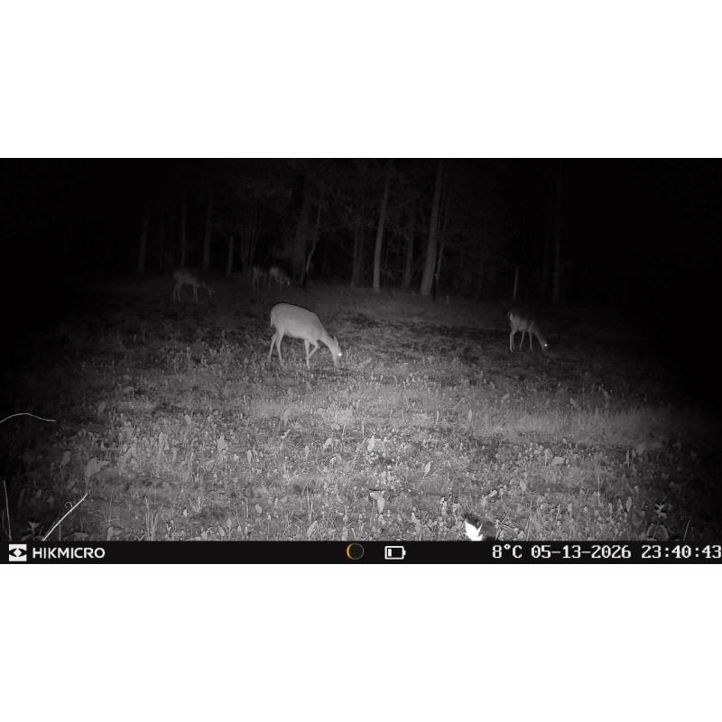 HIKMICRO Wildkamera T16 4er-Pack