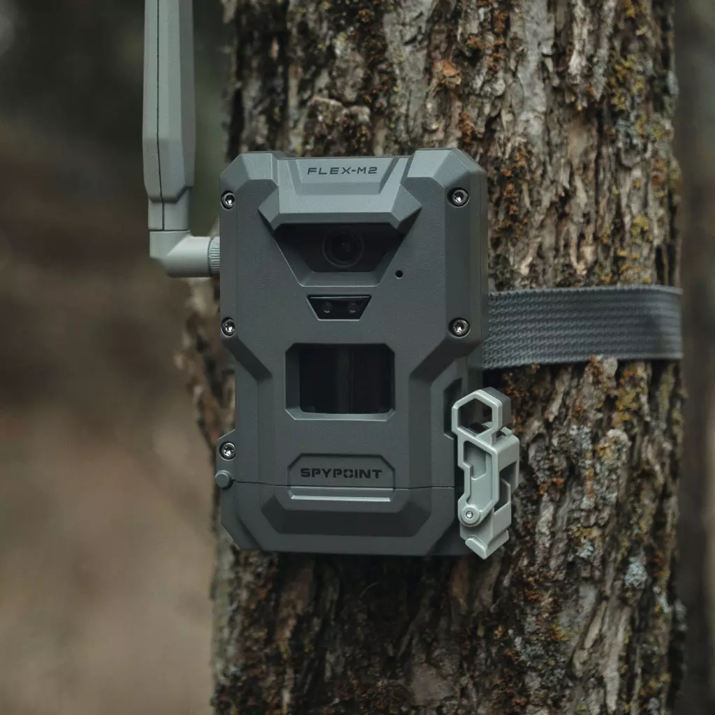 SPYPOINT FLEX-M2