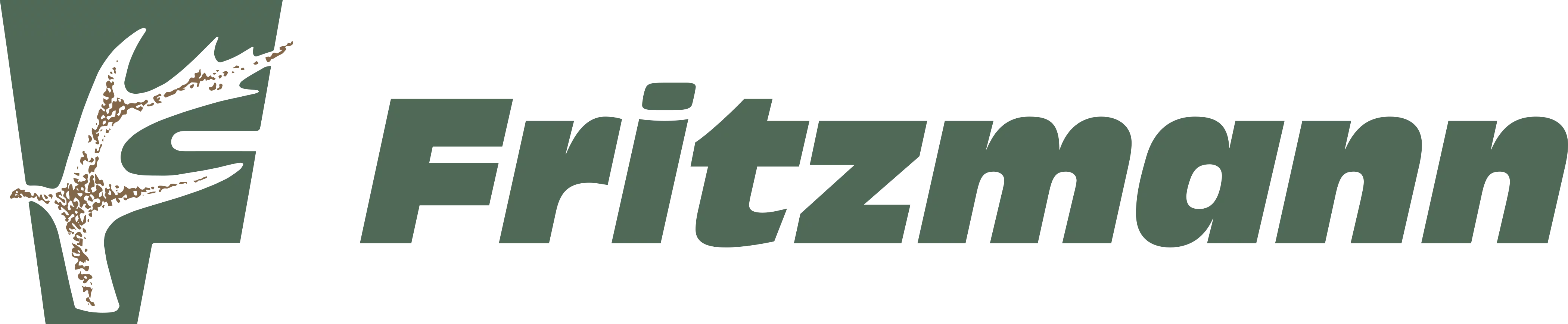 Fritzmann