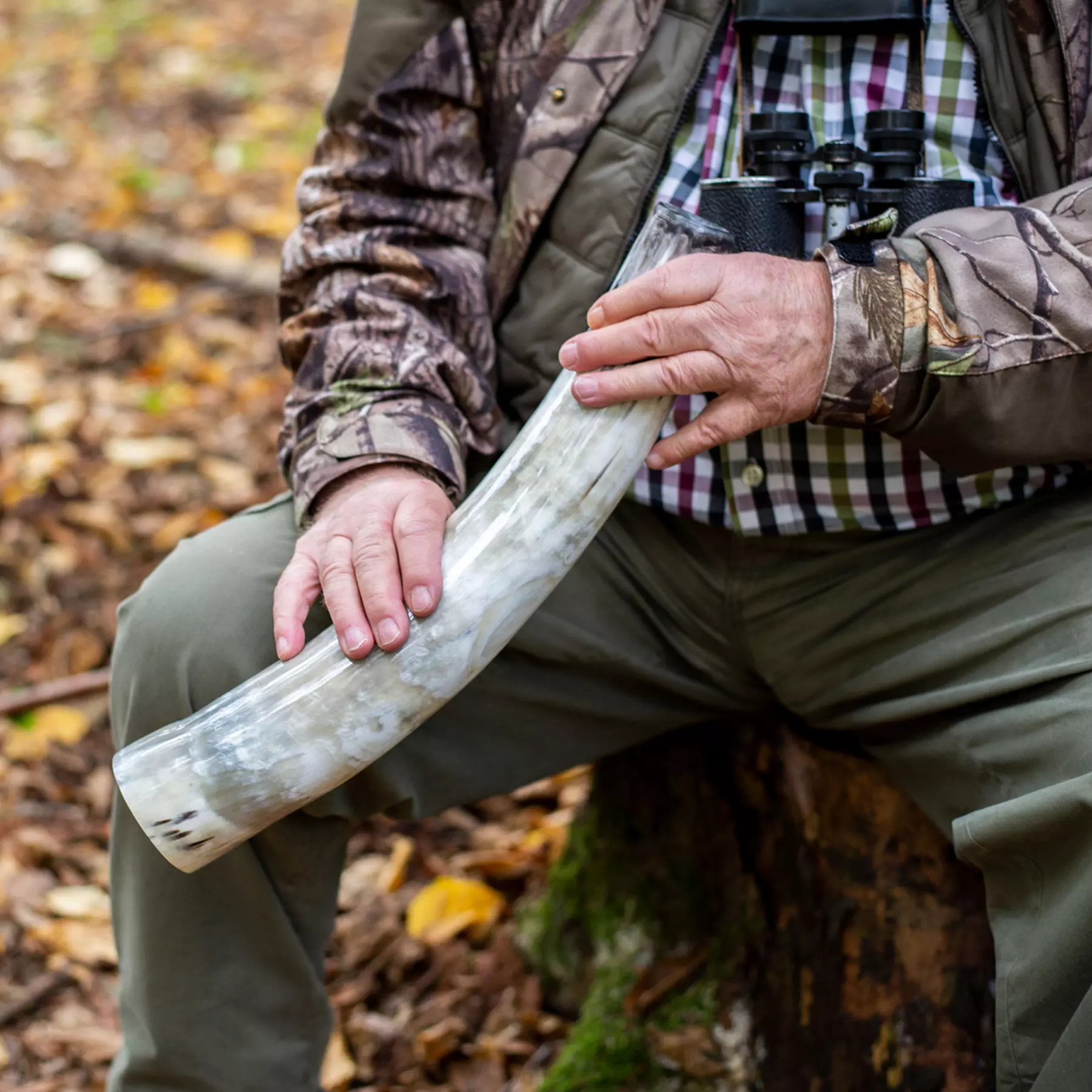 Ochsenhorn 40cm Hirschruf 