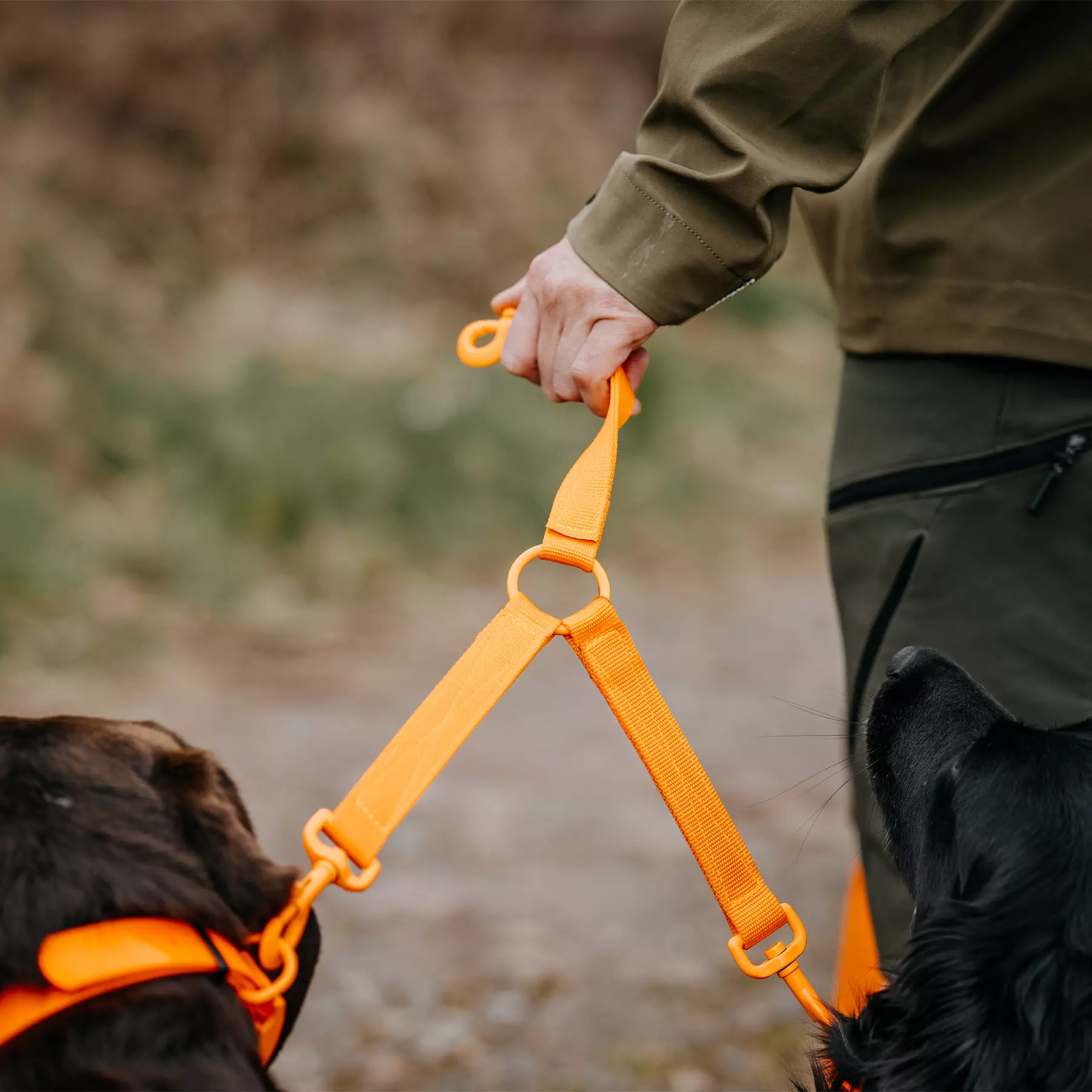 HP&G Koppelleine 3in1 mit Karabinern