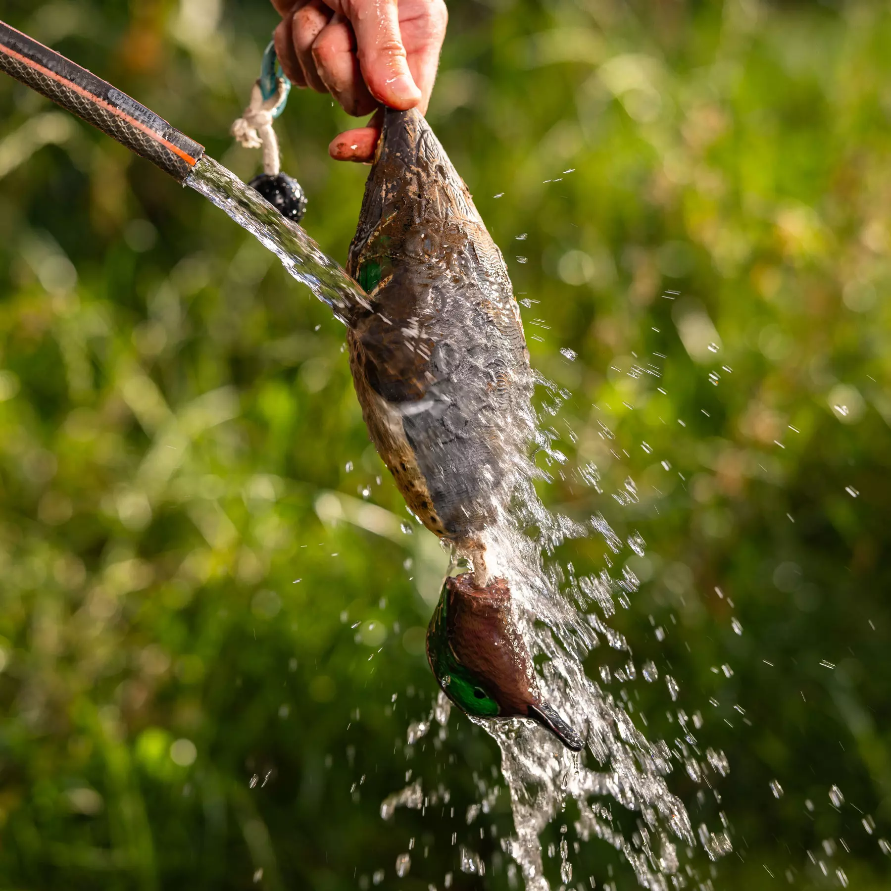 HP&G Apportierdummy Krickente