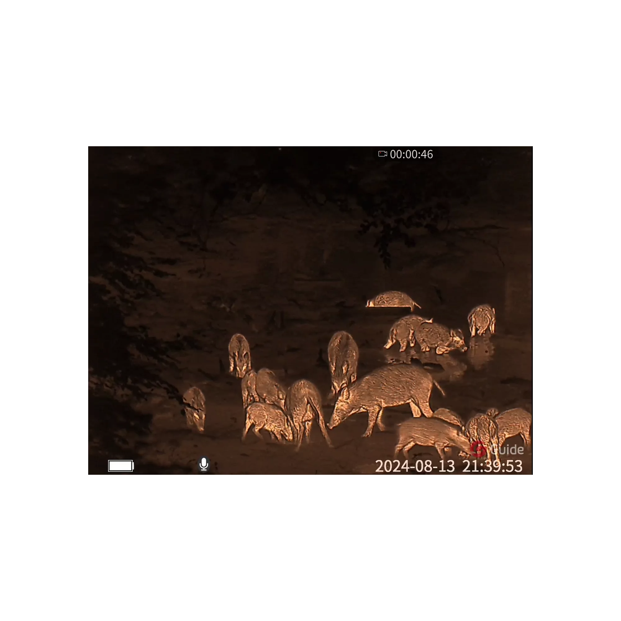 GUIDE Wärmebild Vorsatzgerät TB1250LP GUIDE Wärmebild Vorsatzgerät TB1250LP