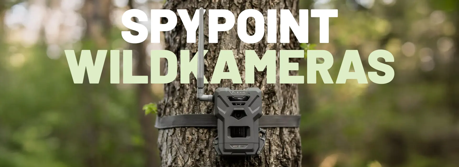 spypoint_wildkameras_sonderangebote_huntify