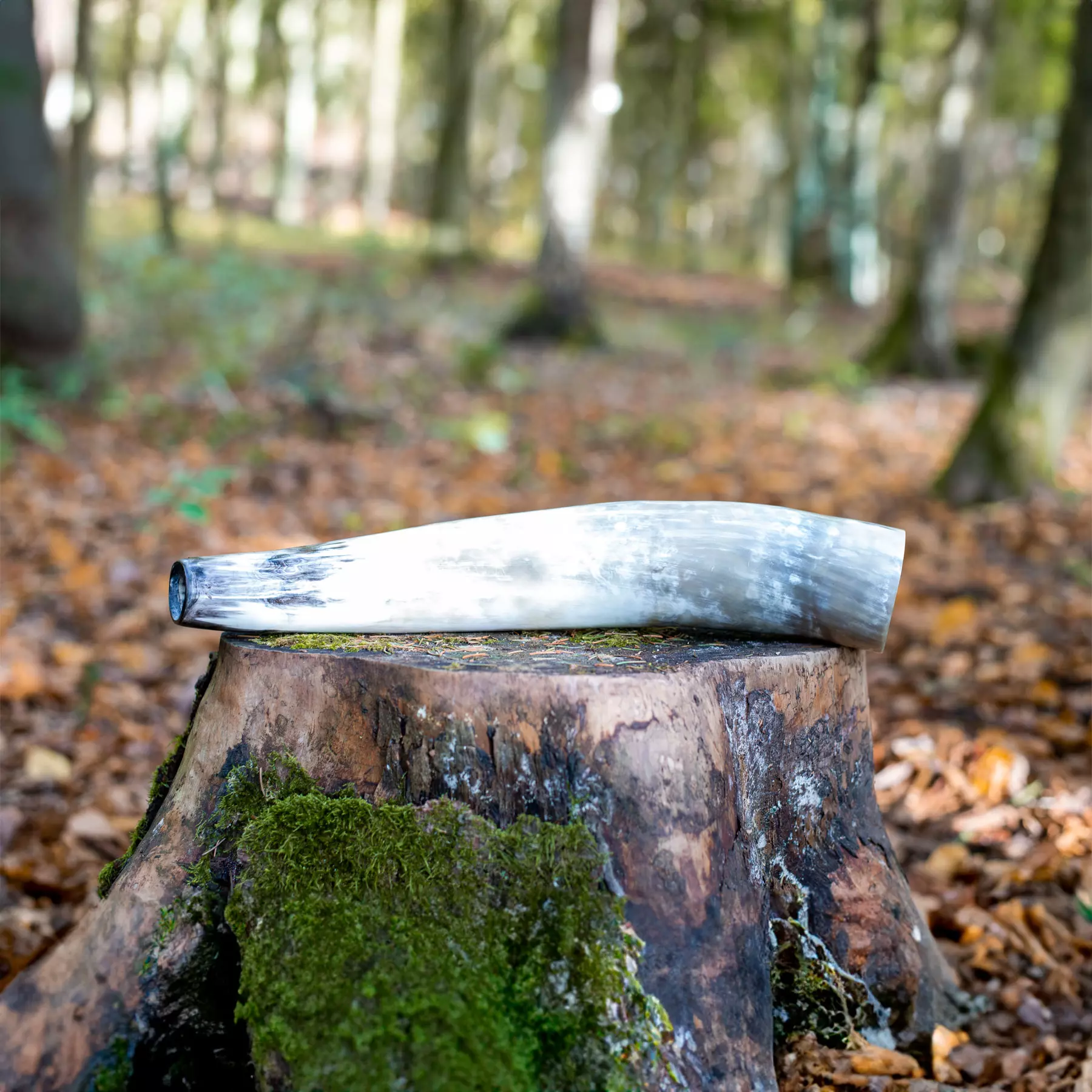 Ochsenhorn 40cm Hirschruf 