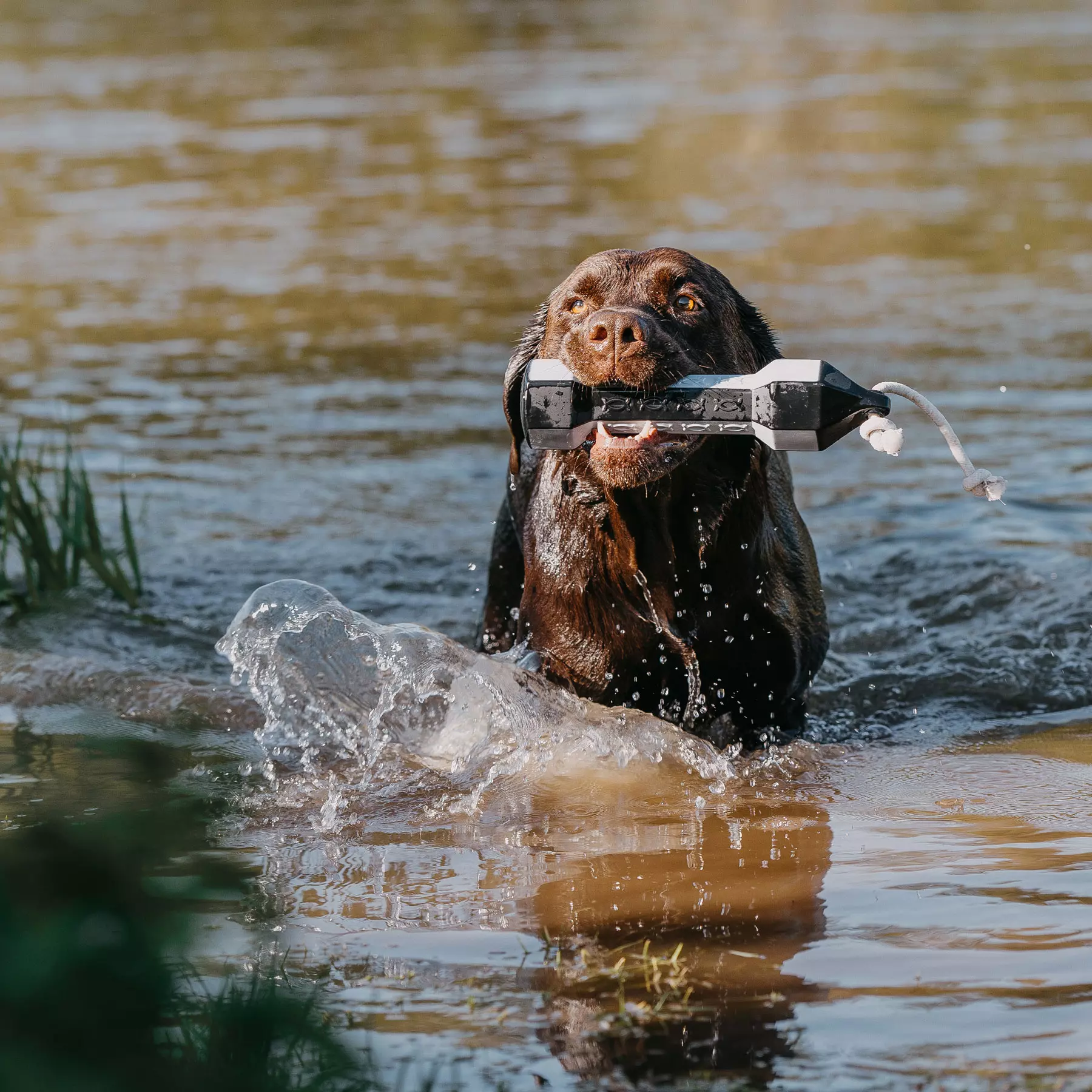 HP&G Apportierdummy Balance Bumper 320g Flasher