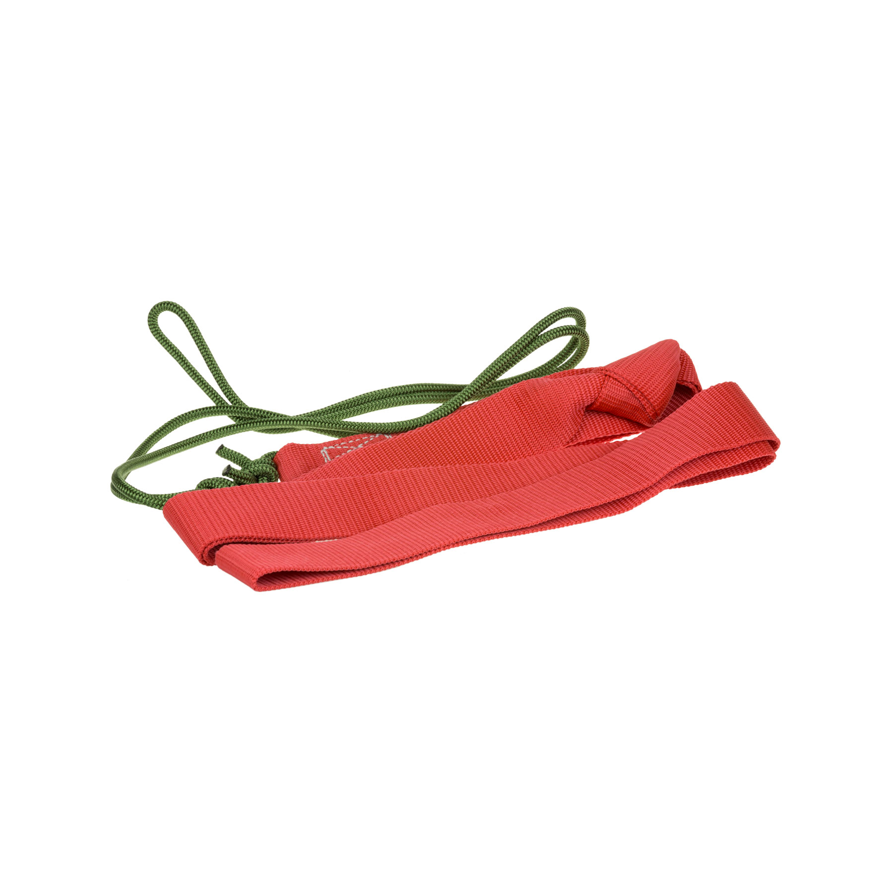 Wildbergehilfe Mufflon