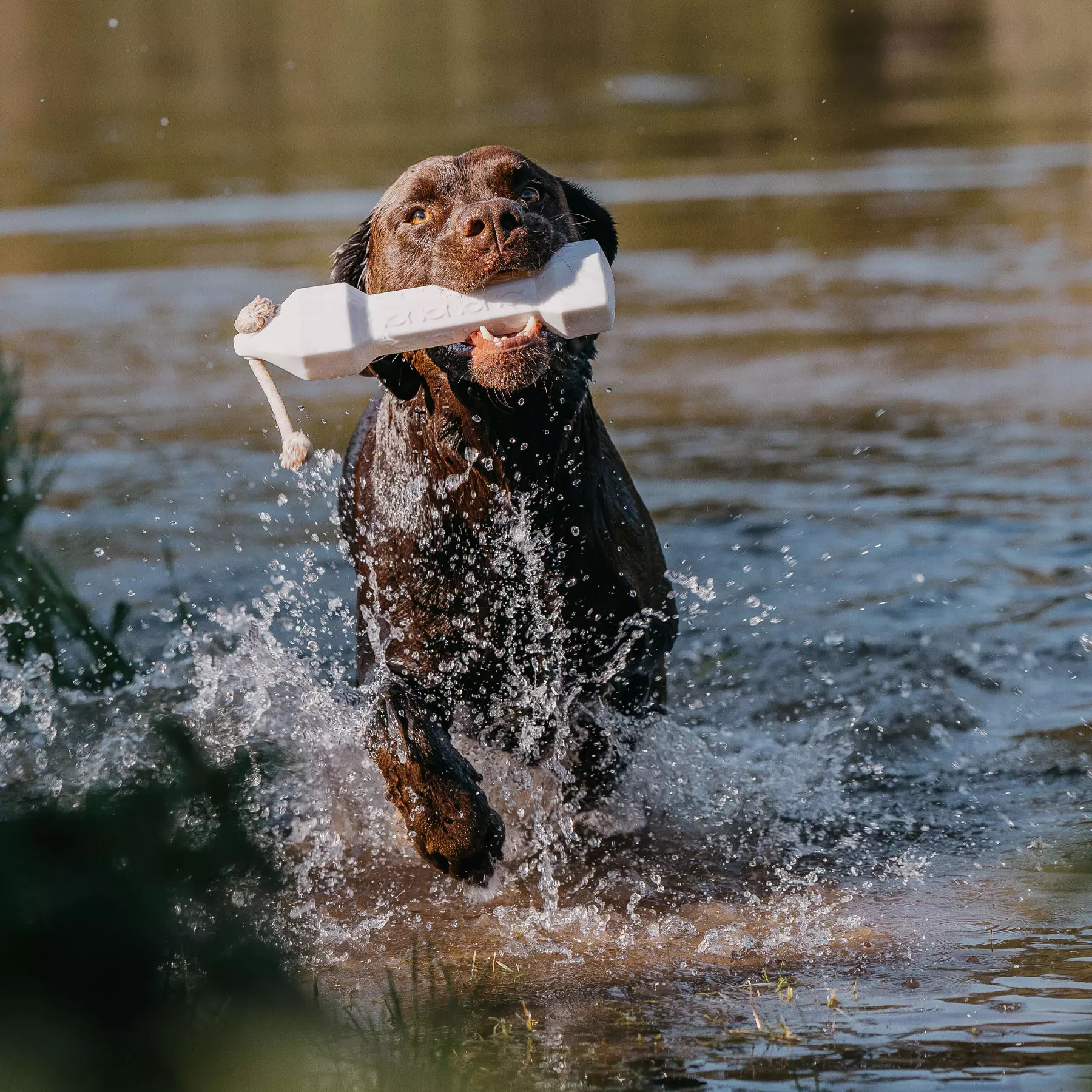 HP&G Apportierdummy Balance Bumper 320g Weiß