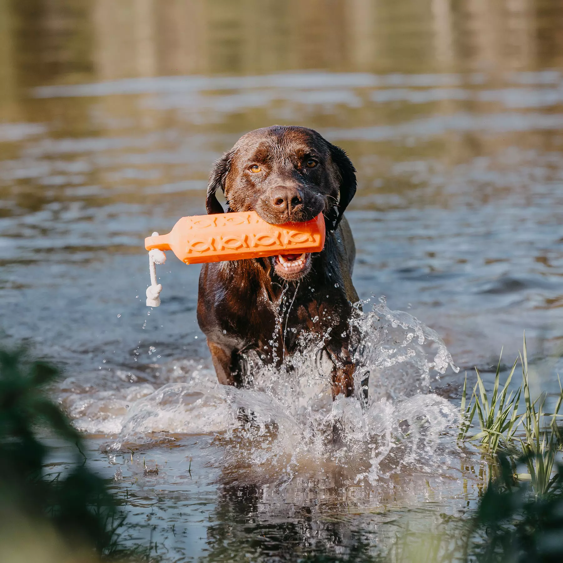 HP&G Apportierdummy Bumper 380g Orange