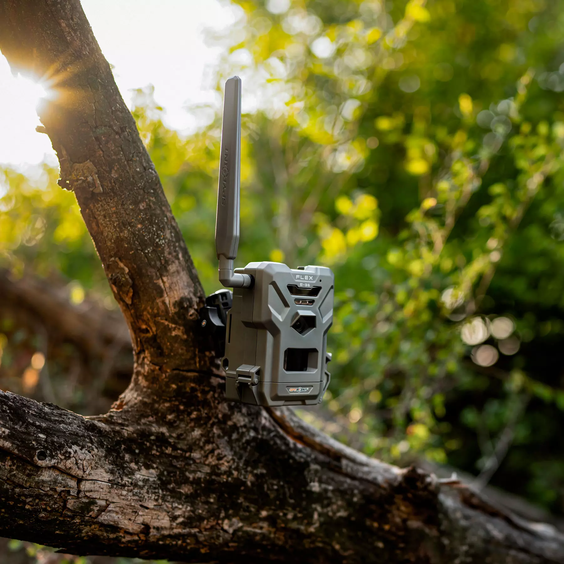 SPYPOINT FLEX E-36 SPYPOINT FLEX E-36