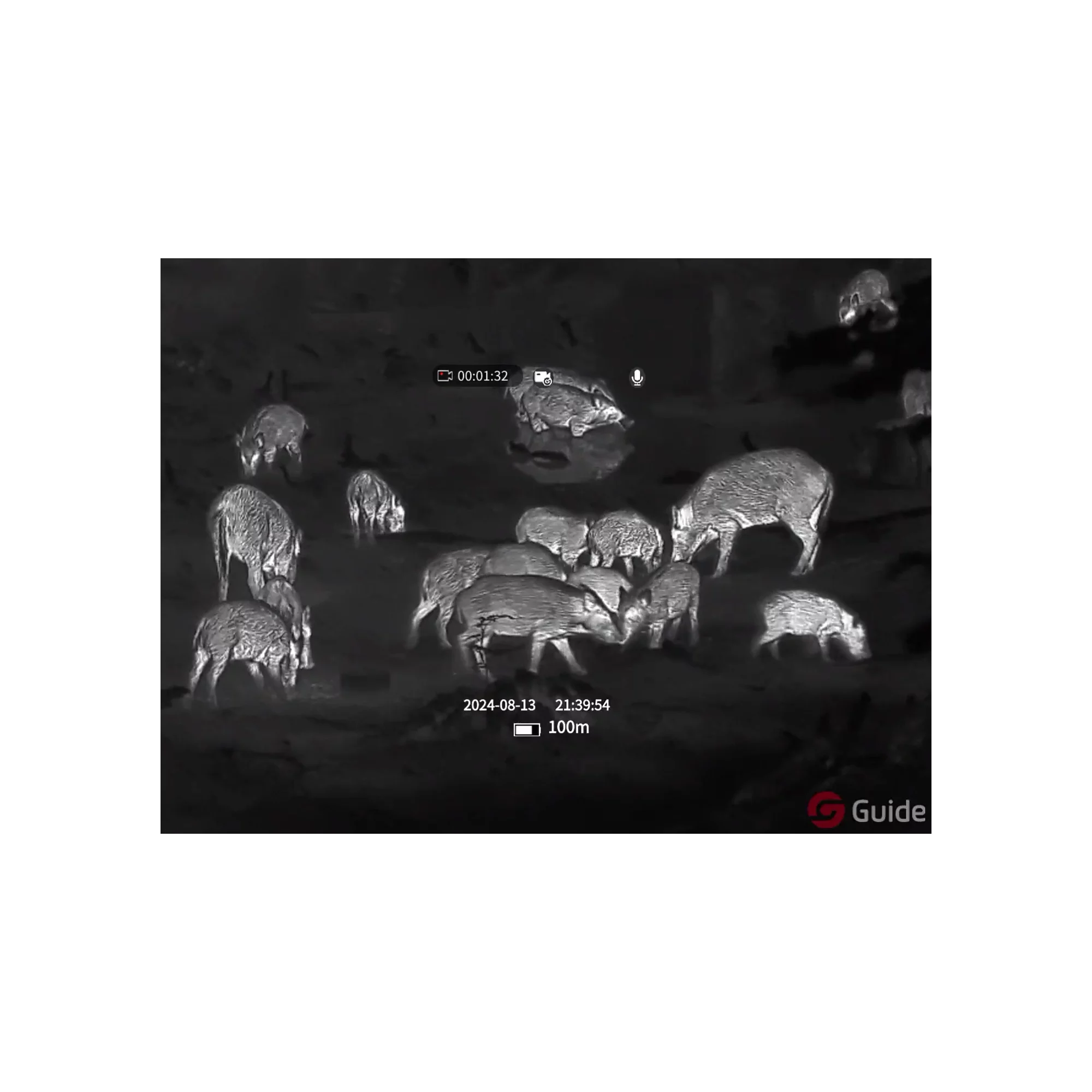 GUIDE Wärmebild Vorsatzgerät TB650P GUIDE Wärmebild Vorsatzgerät TB650P