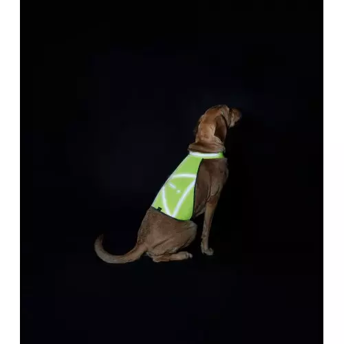 Hunter Warnweste Gelb/Nylon reflektierend