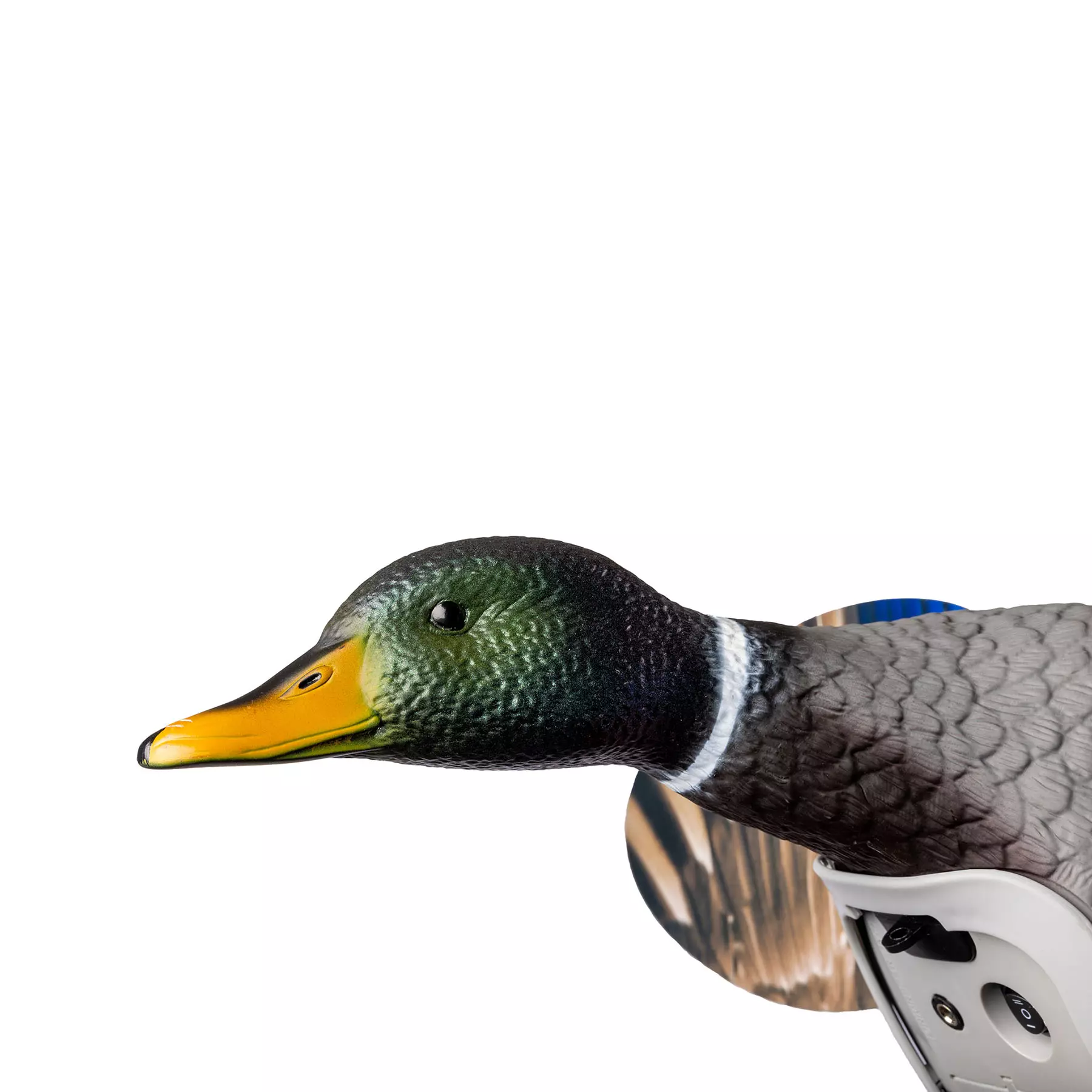 MOJO ES KING MALLARD mit Lio-Ion Batterie MOJO ES KING MALLARD mit Lio-Ion Batterie