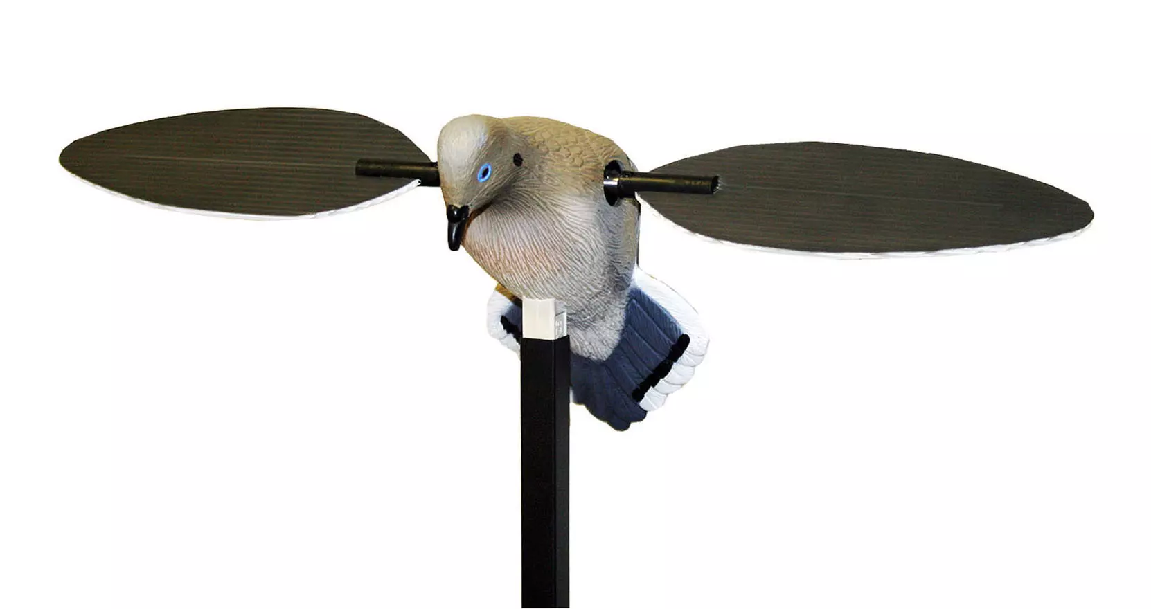MOJO Voodoo Dove -Taube