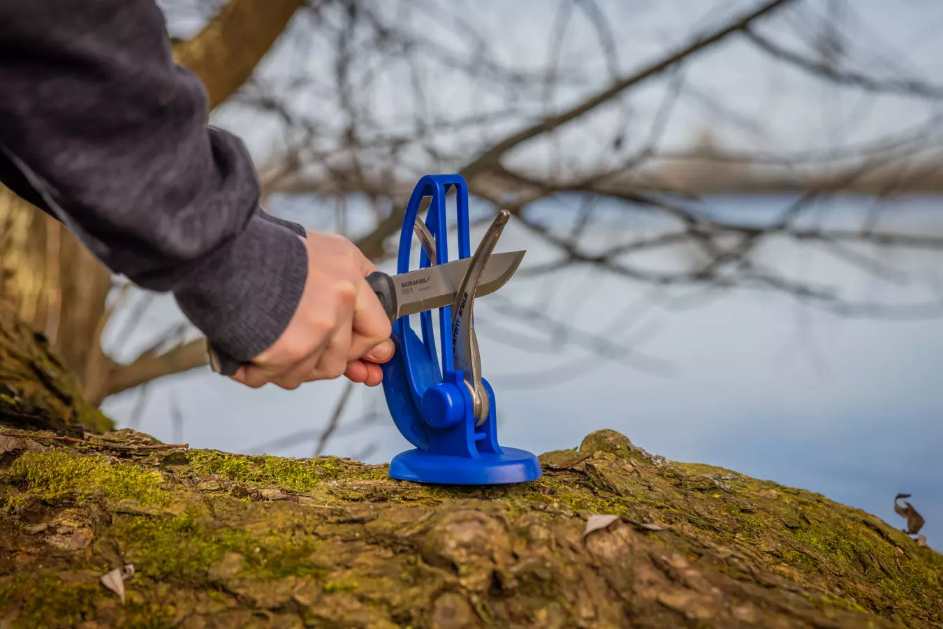 V-Sharp Curve V-Sharp Curve