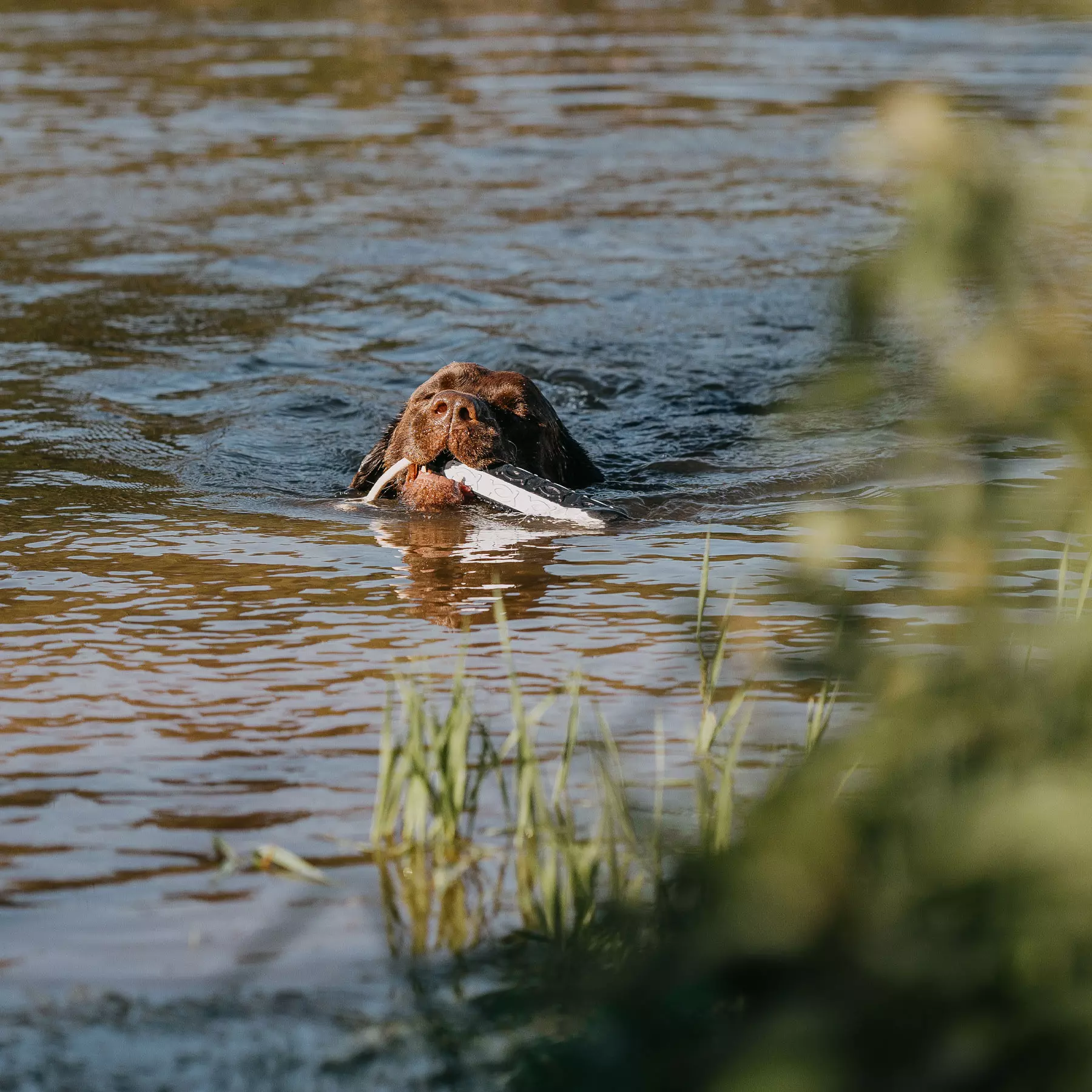 HP&G Apportierdummy Bumper 200g Flasher HP&G Apportierdummy Bumper 200g Flasher