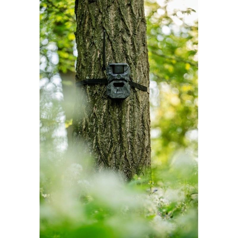 HIKMICRO Wildkamera T16 4er-Pack