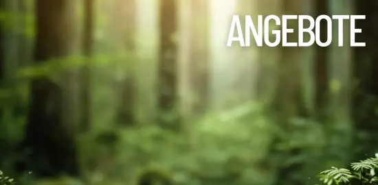 🔥%SALE%🔥 🔥%SALE%🔥