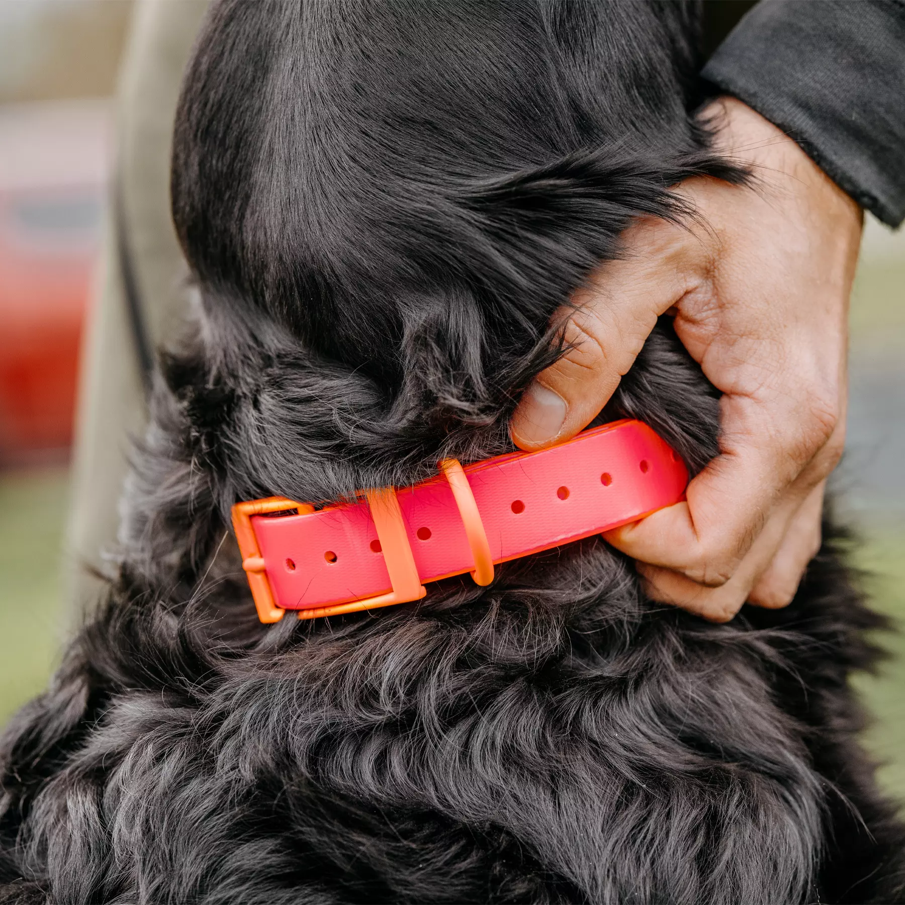 HP&G Hundehalsband 25mm Pink HP&G Hundehalsband 25mm Pink